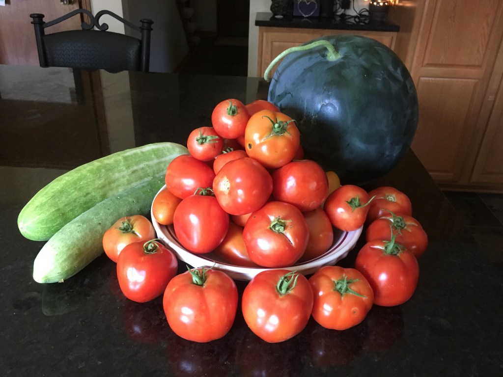 2018-07-27 Harvest in&nbsp;July