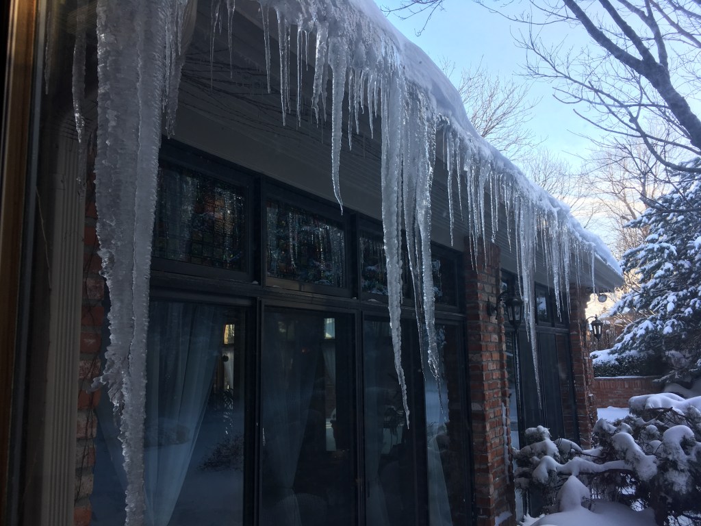 2019-02-24 Sunday Lazy&nbsp;Sunday