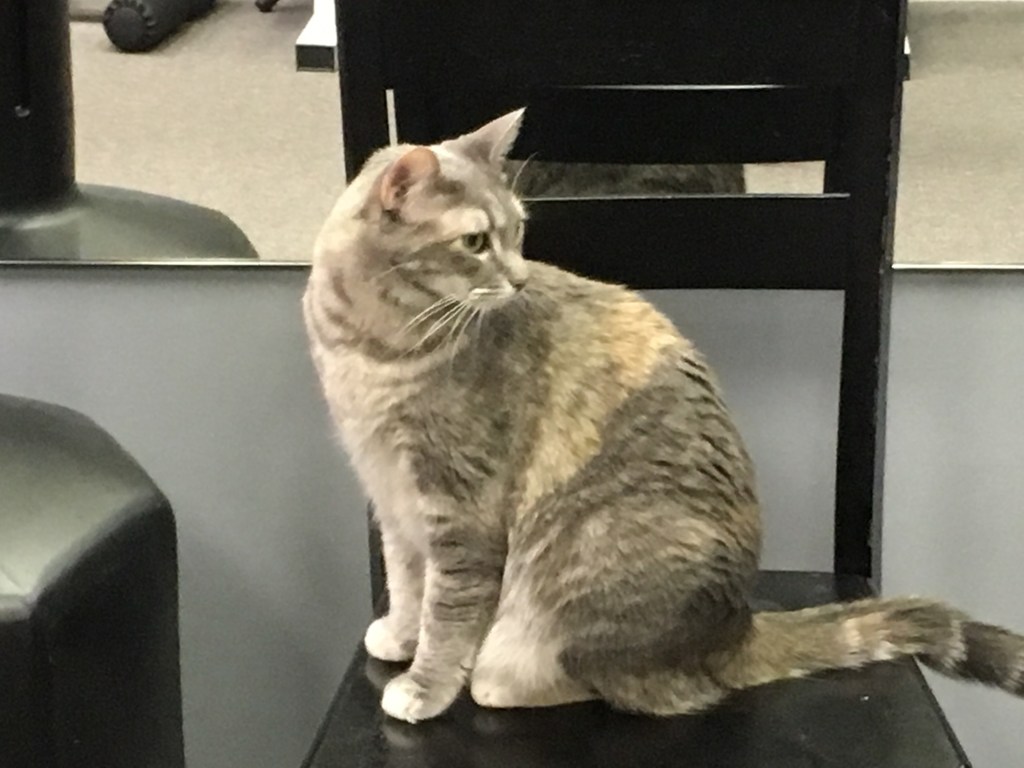 2019-05-05 Long Lost Sunday&nbsp;Status