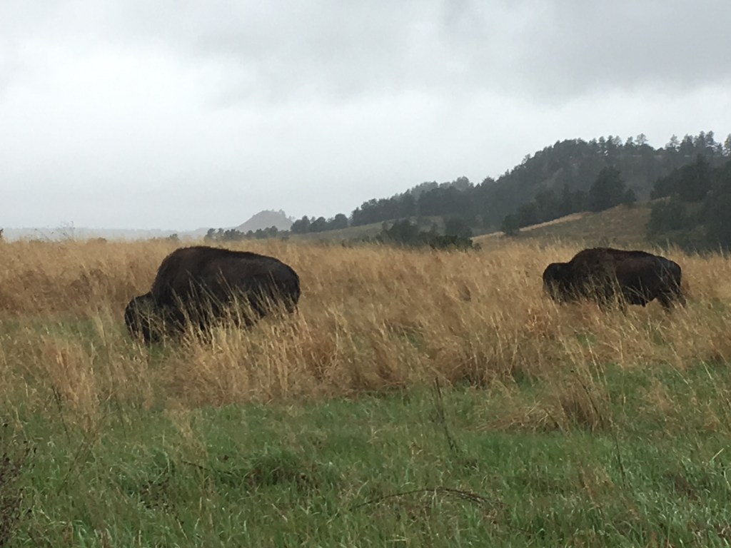 2019-05-20 Nebraska Day 1 – Road Trip&nbsp;Shenanigans