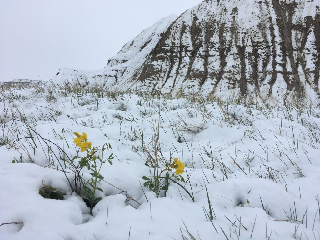 2019-05-21 Discovering True&nbsp;North