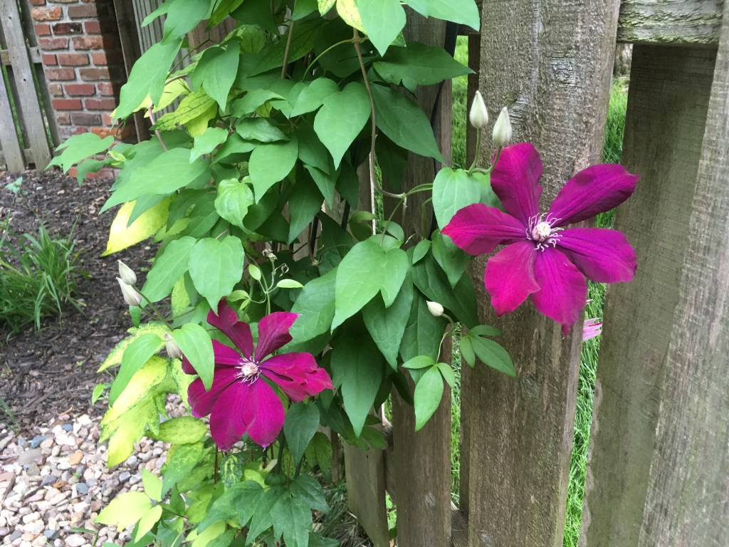 2019-06-12 Balance Restored