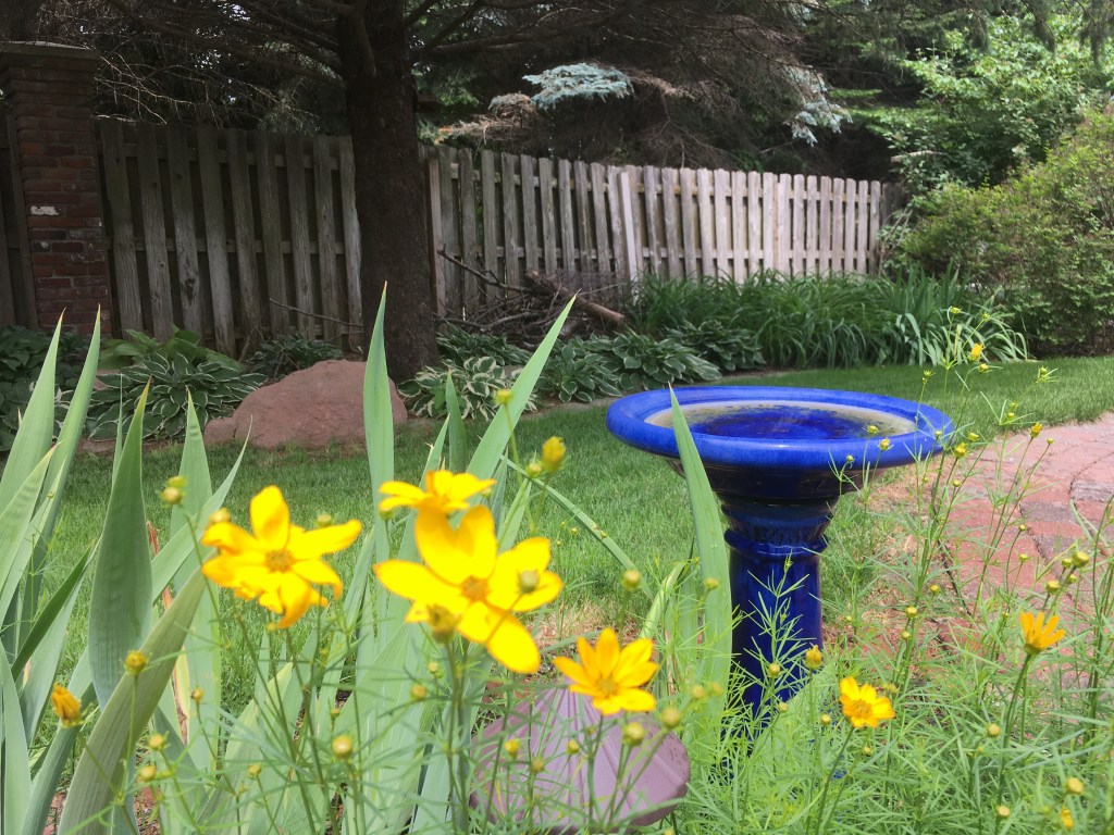 2019-06-17 The One About Marriage – Part&nbsp;2