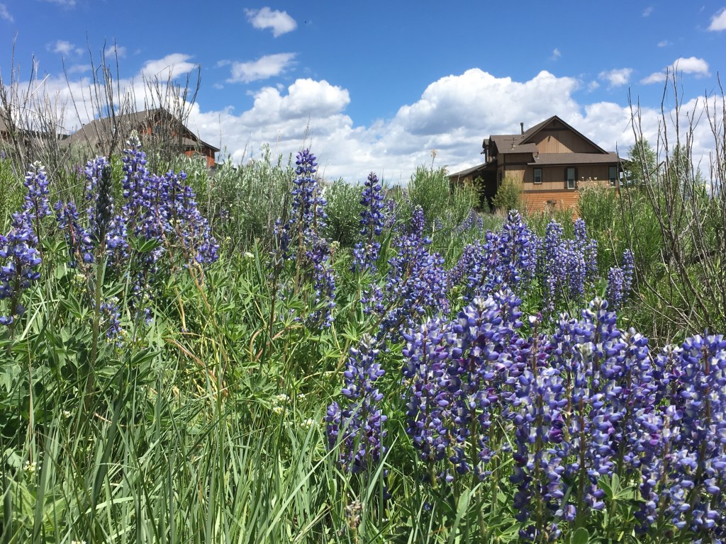 2019-06-20 Colorado Day 2 – The Picture of a Perfect&nbsp;Day