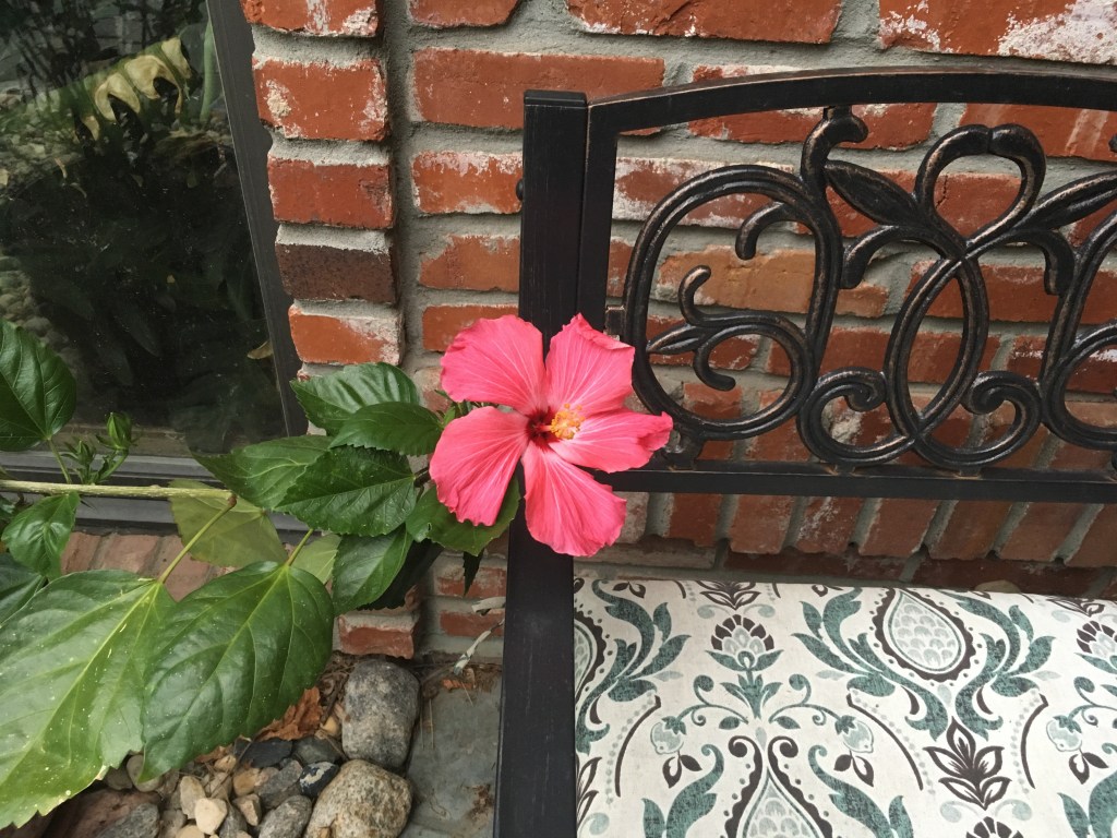 2019-06-27 The Pursuit of&nbsp;Happiness