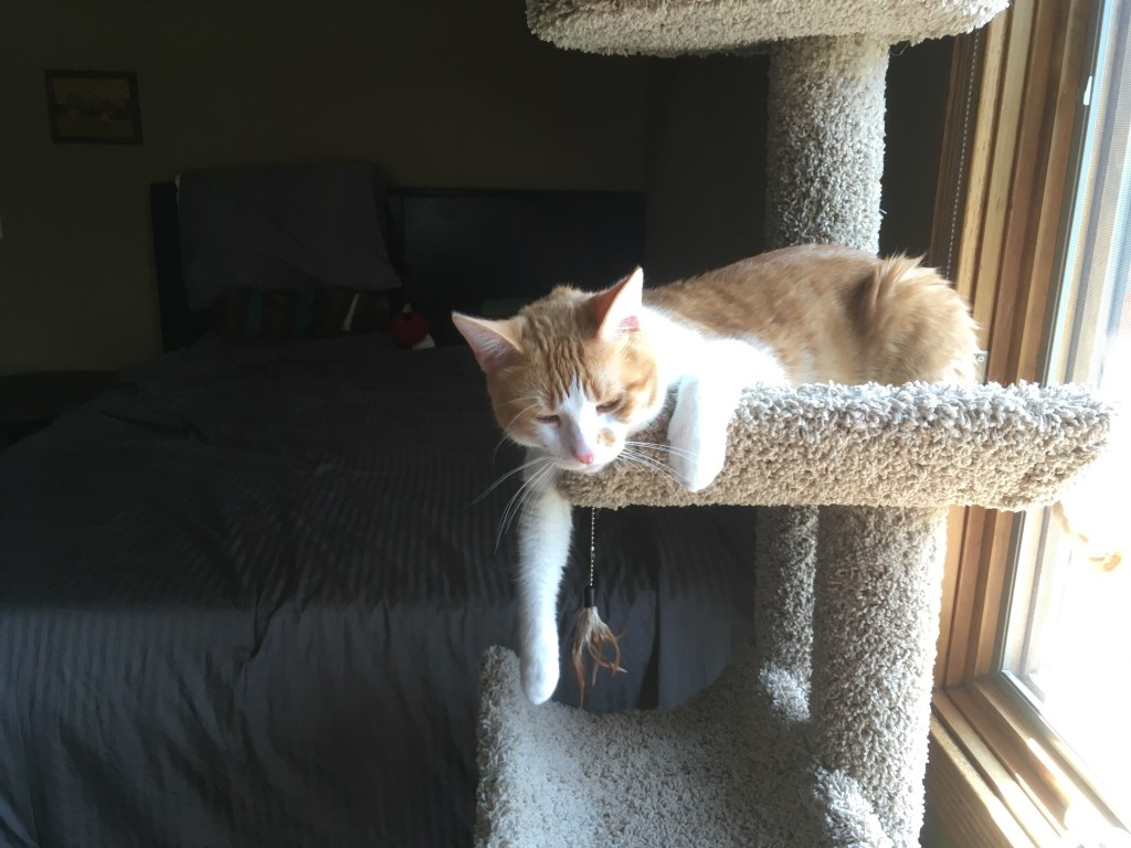 2019-07-03 The More the&nbsp;Merrier