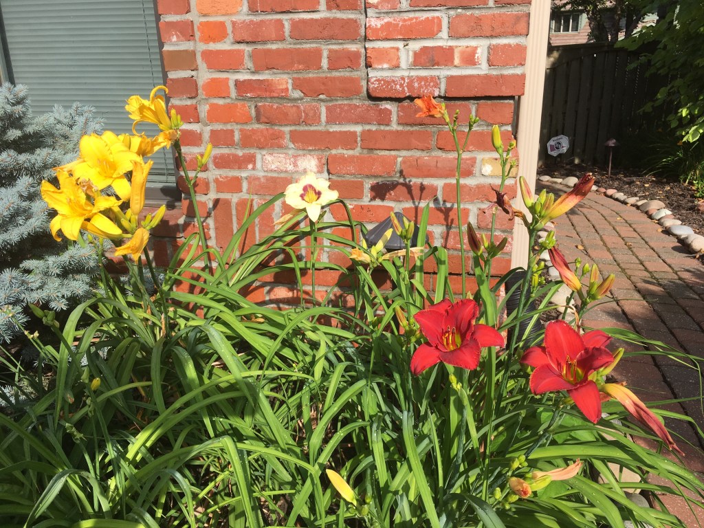 2019-07-08 What’s a Girl to&nbsp;Do?