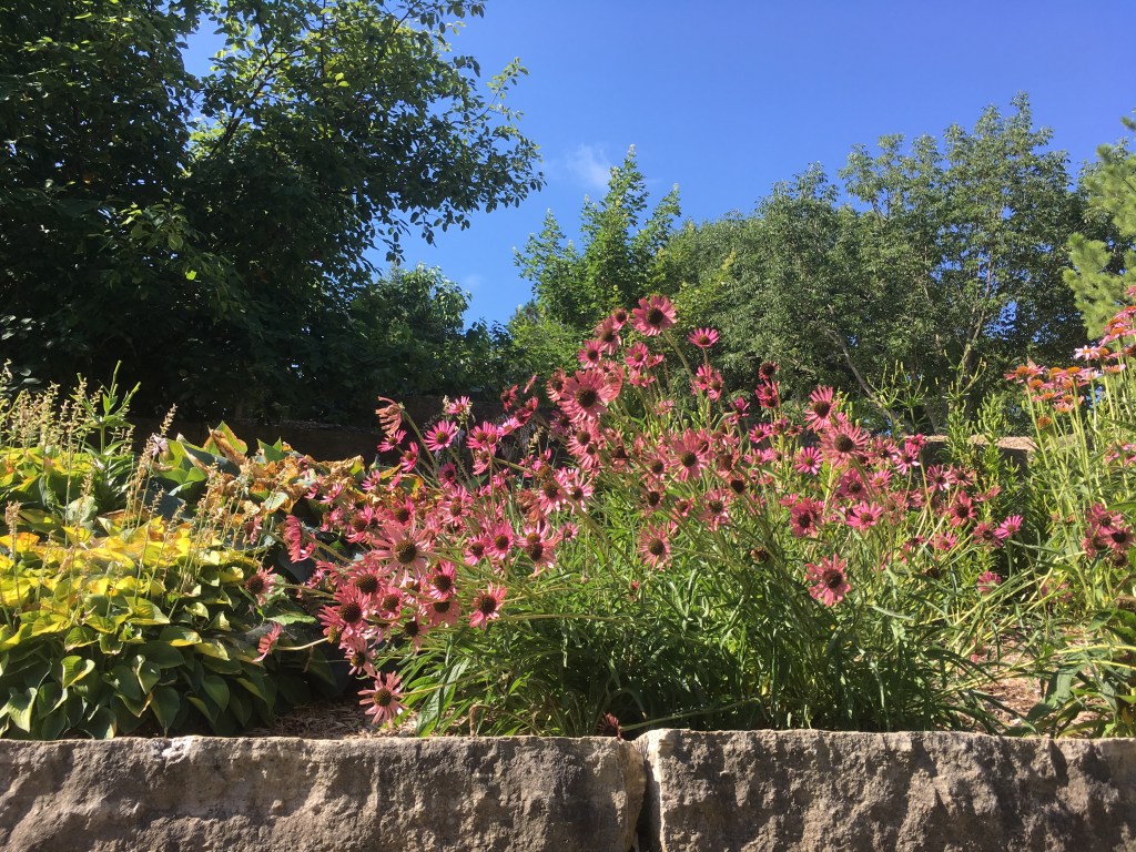 2019-07-15 MFA Res Day 2 – Life is&nbsp;Wonderful