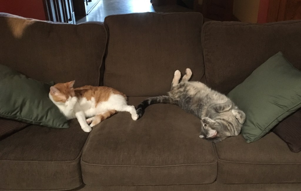 2019-08-07 The One About Fluff and&nbsp;Stuff