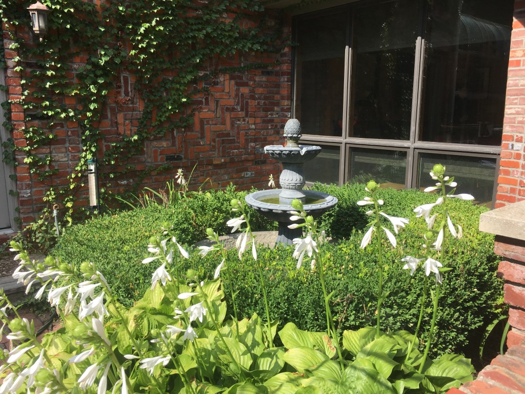 2019-08-20 How Much is Enough?