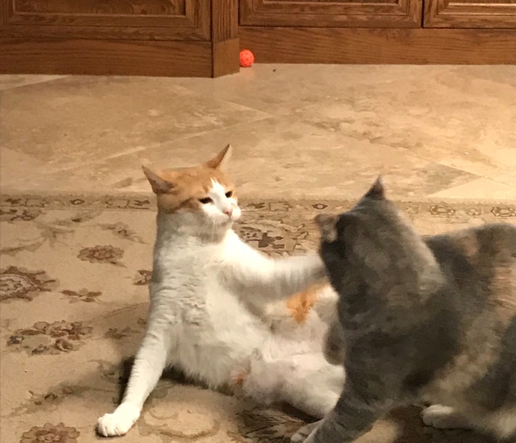 2019-09-20 The Friday Night PVP&nbsp;Edition