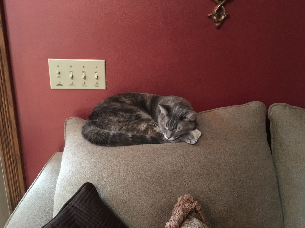 2019-11-28 Attitude of Gratitude