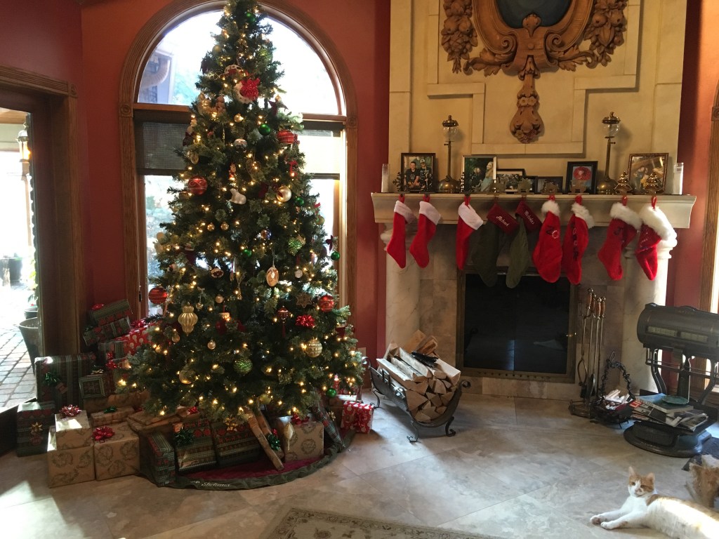 2019-12-21 Winter Solstice&nbsp;Baby