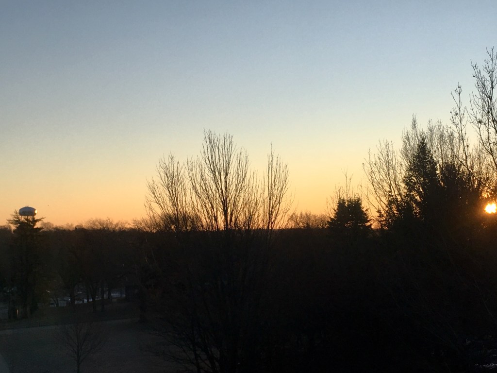 2020-01-01 MFA Res Day 4 – Sisters of the Star Blossoms