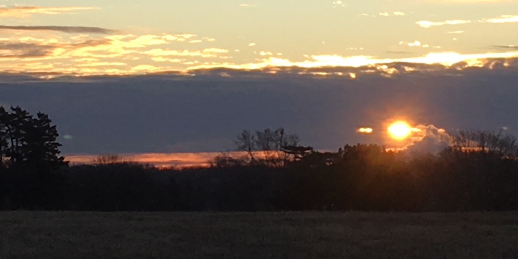 2020-01-02 MFA Day 6 – Telegraph for&nbsp;Today