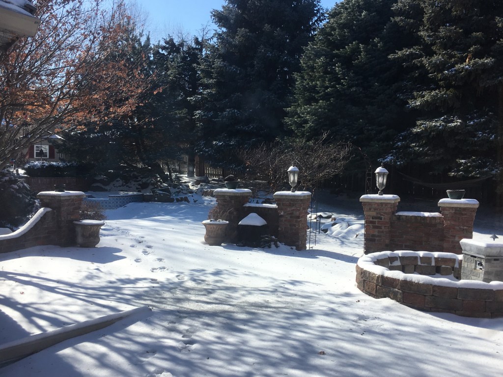 2020-01-19 My Kingdom for a Good Day in the&nbsp;Garden