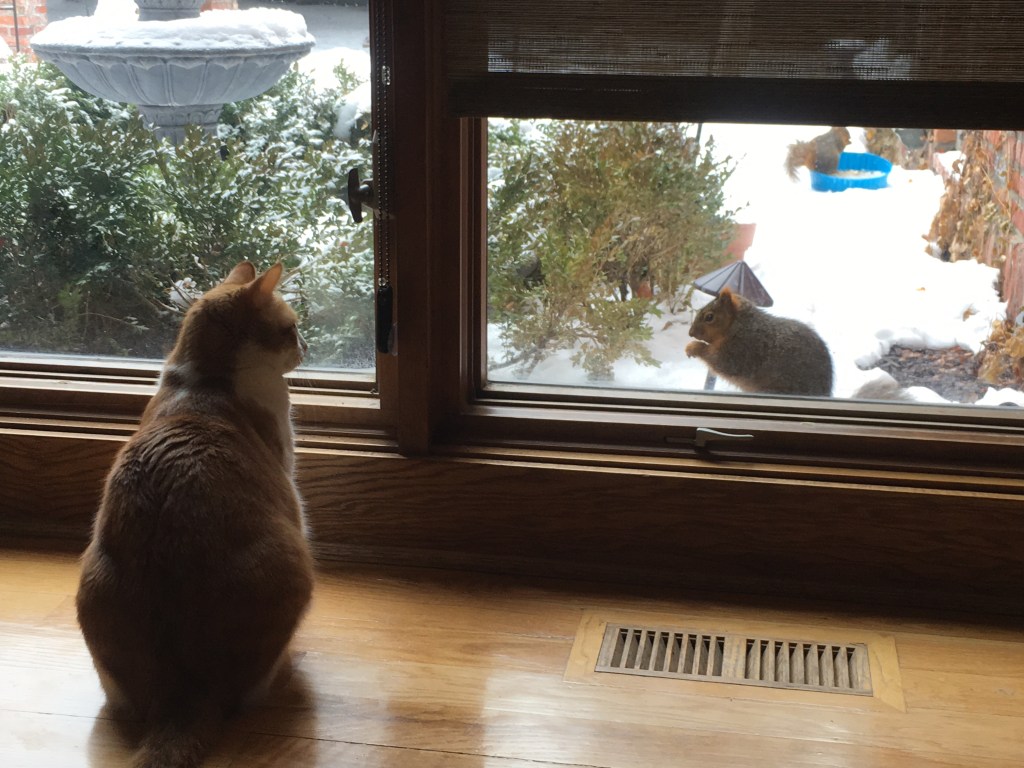 2020-01-24 One Way to Start a Friday