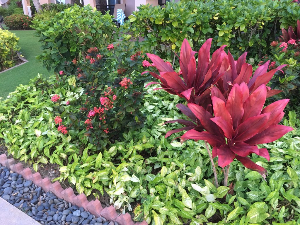 2020-03-03 A Monumental Day in SugarCookie History&nbsp;💗