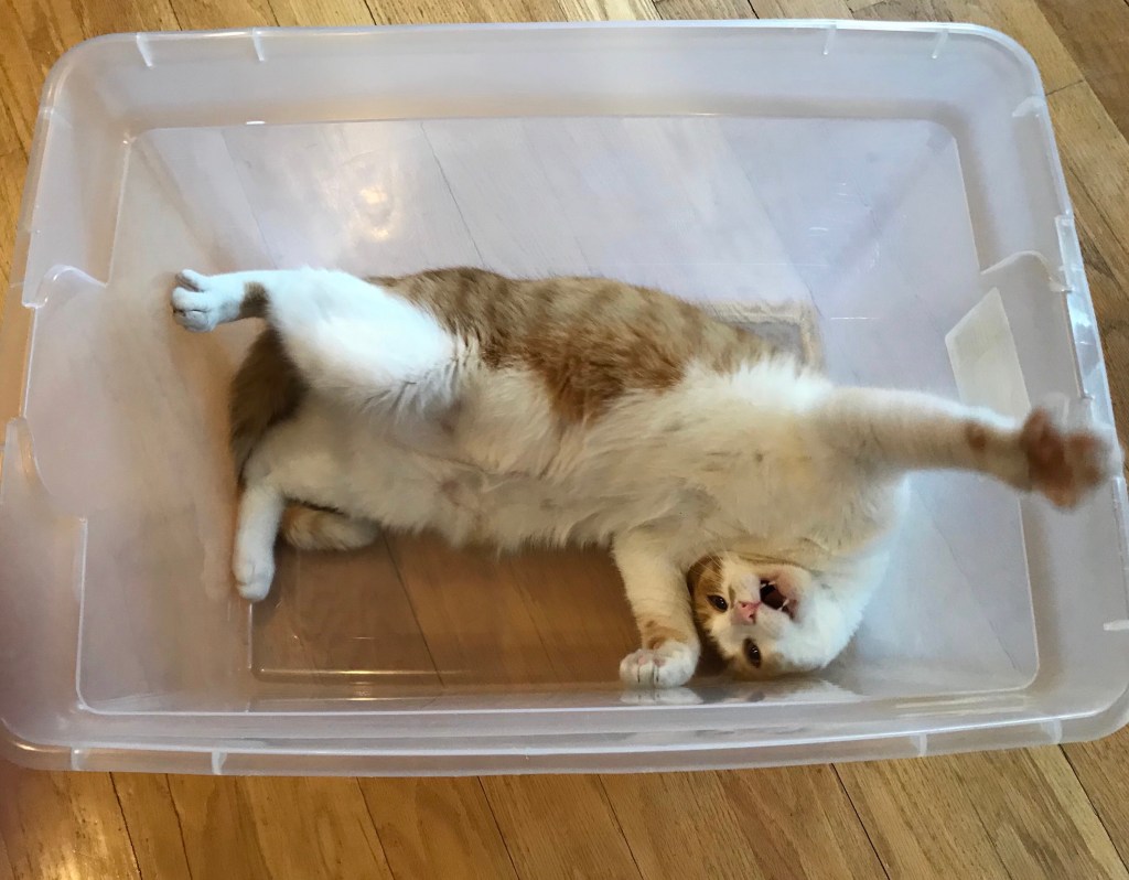 2020-03-09 So What Monday Rant-Fest