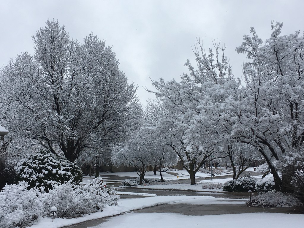 2020-03-15 Out With the Old, In With the&nbsp;New