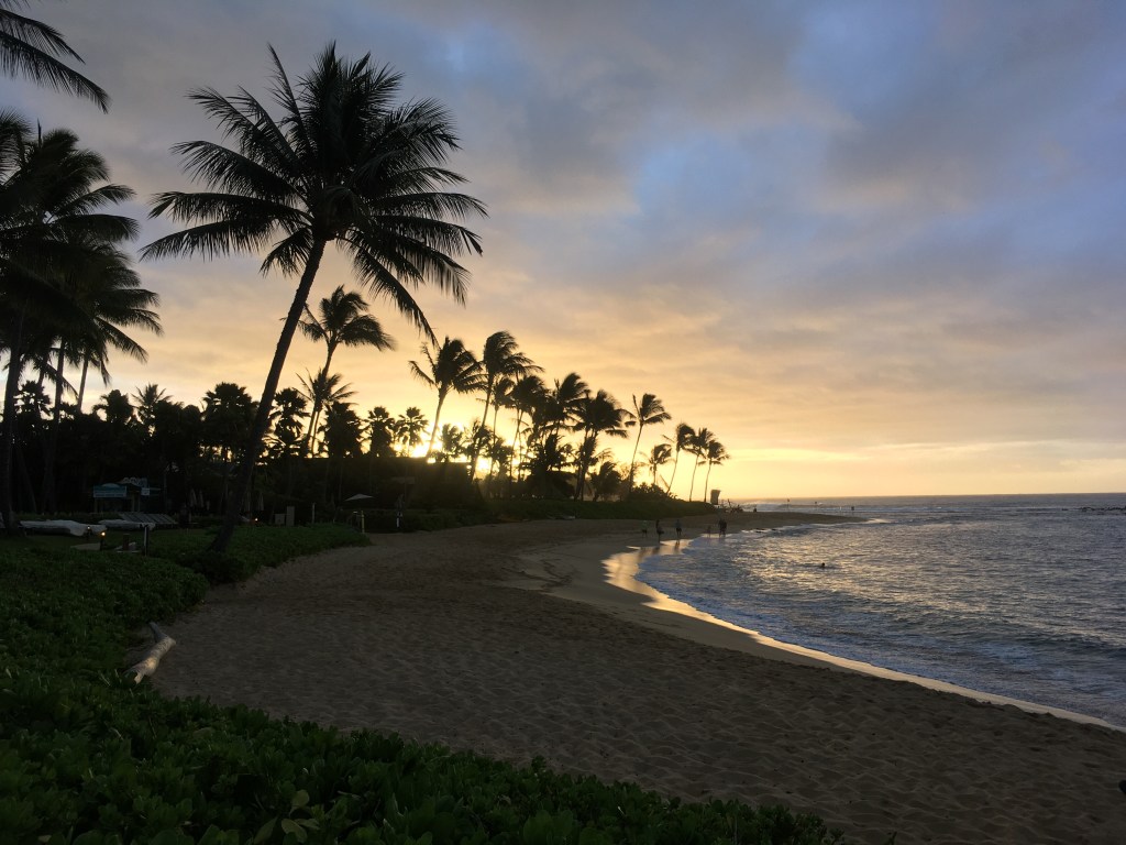 2020-03-20 Best Laid Plans 🤷♀️