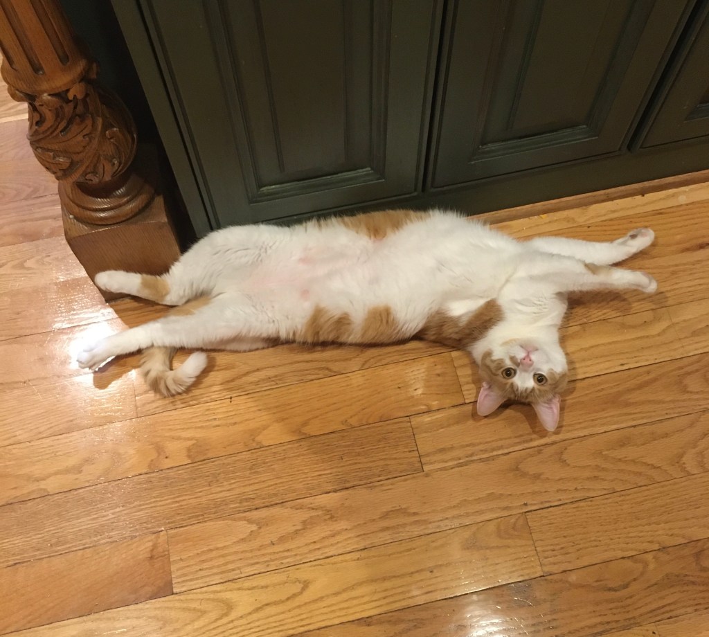 2020-03-30 Balance and&nbsp;Flow