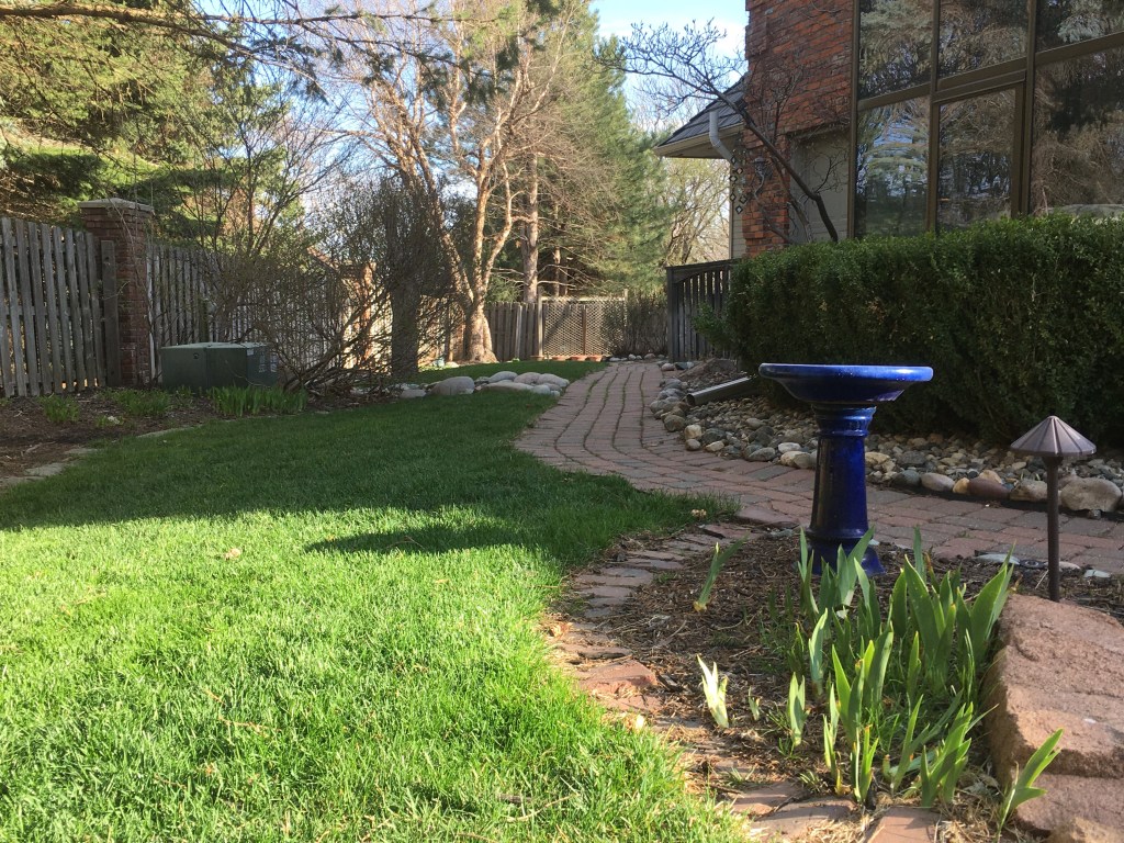 2020-04-09 Naturally Nervous