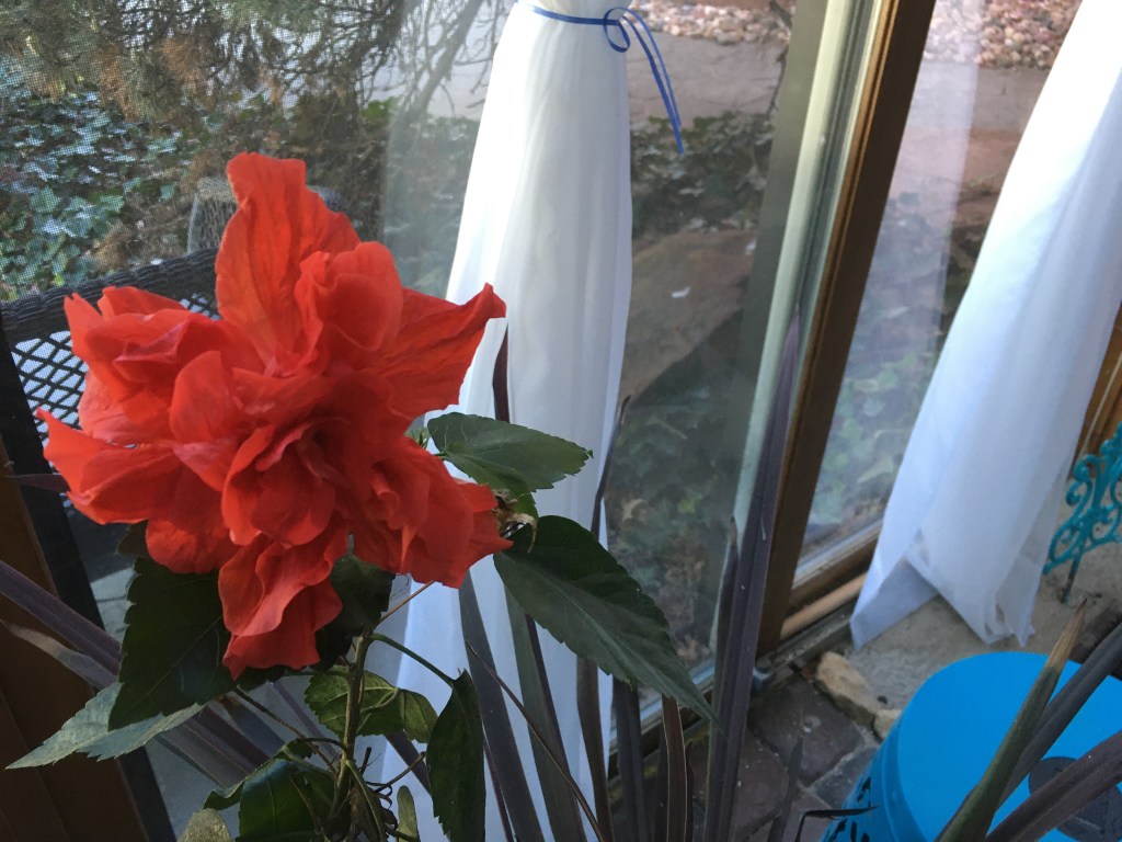 2020-04-29 Mathematics and Other Tragedies