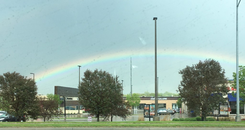 2020-05-19 Today Miss SugarCookie asks, “What does the Universe Want?”&nbsp;🤔