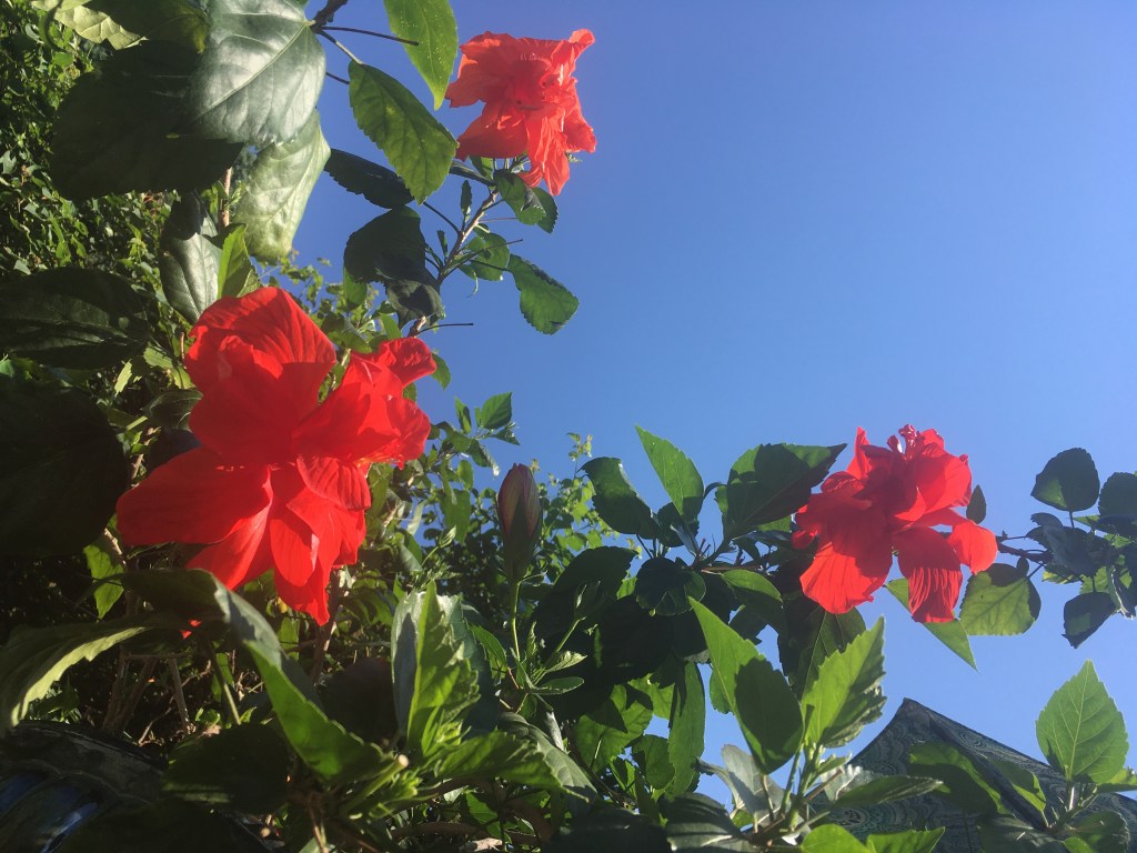 2020-06-16 Take Back the City Tour: Day 1