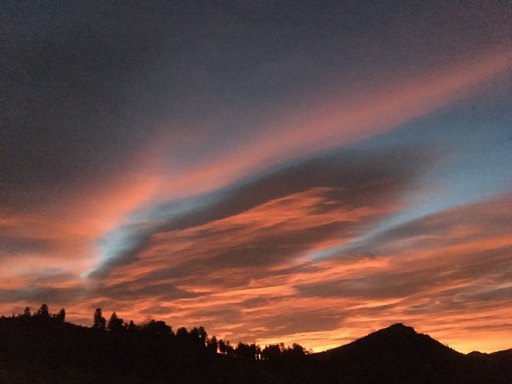 2020-07-30 Thursday Status Update