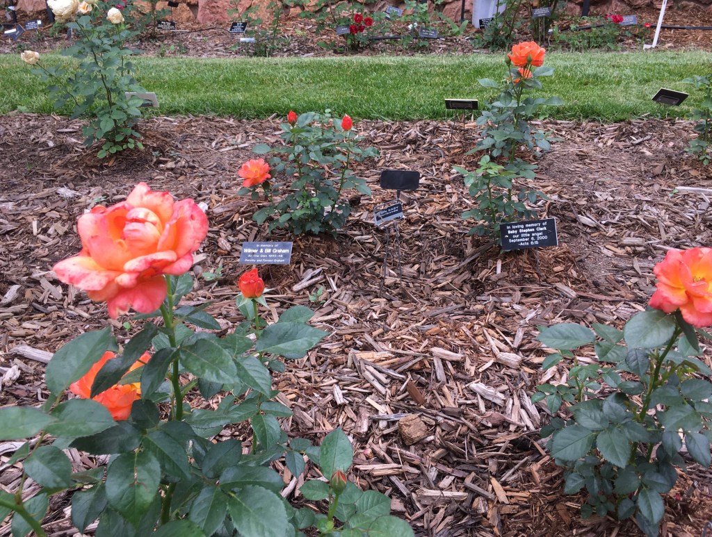 2020-07-12 Insults and Injuries and Finding the Bright Spots In-between