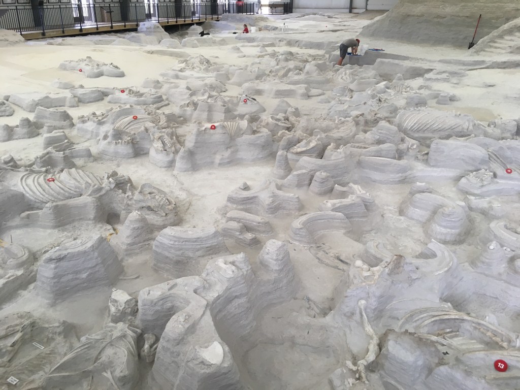 2020-07-19 Wrestling with Impermanence