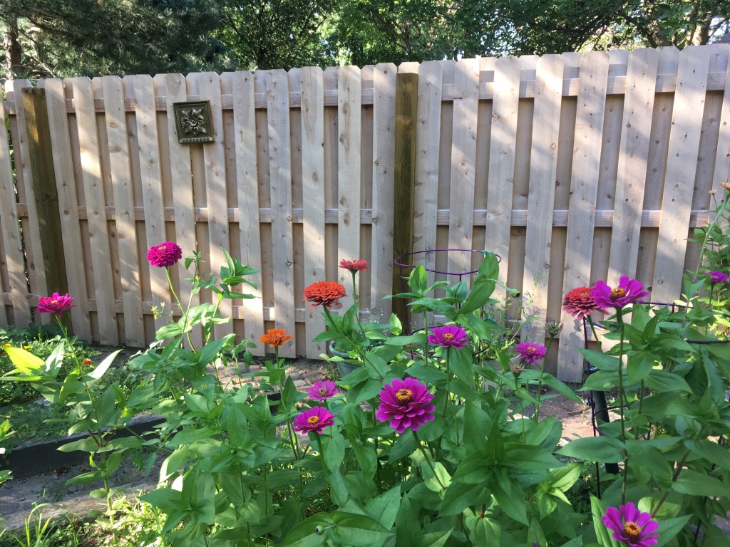 2020-08-05 What’s Behind Door Number 3?…&nbsp;🚪