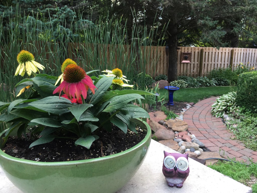 2020-08-16 No Good Way to End – Part 2