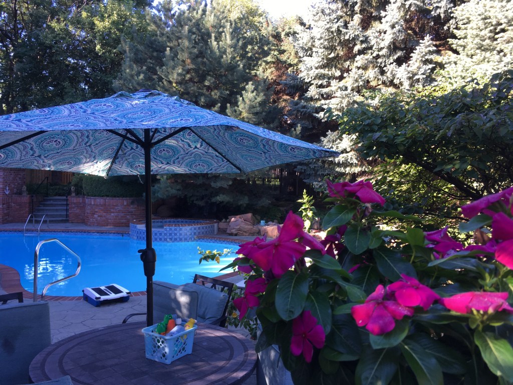 2020-08-23 The Saturday AM Update