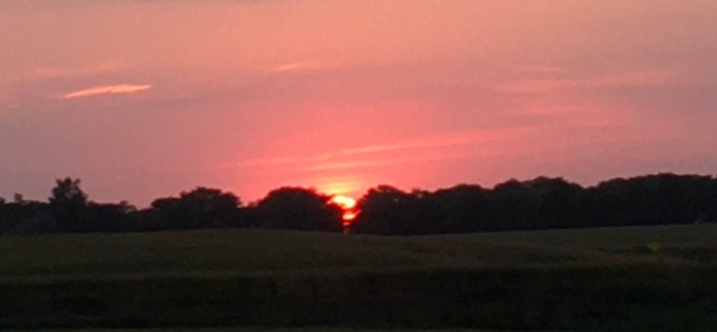 2020-08-29 Girls Just Wanna…