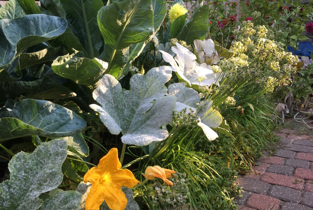 2020-09-24 Could it Really&nbsp;Be?…