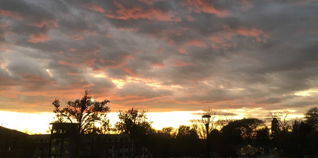 2020-10-15 If I’m Being&nbsp;Honest…