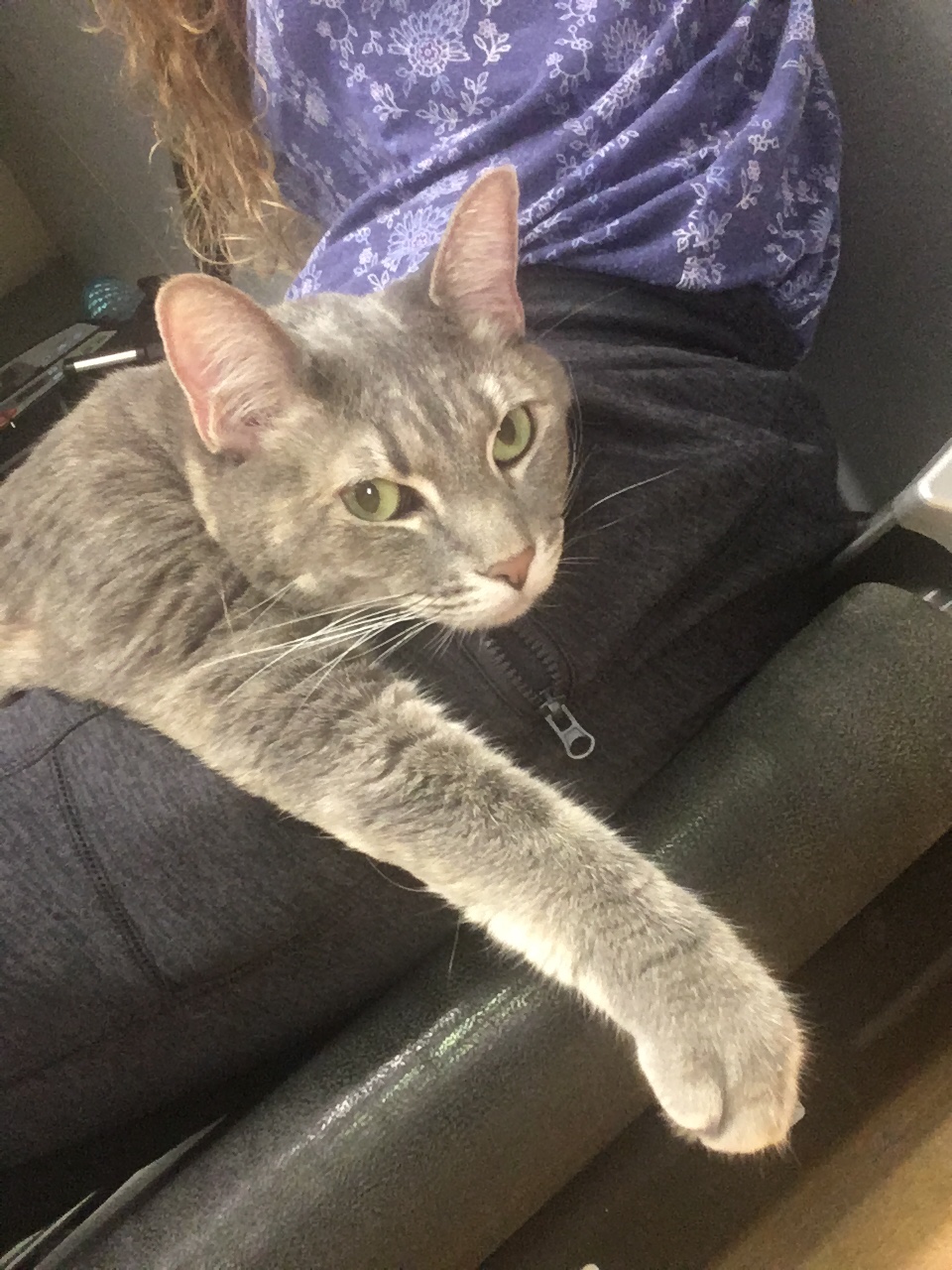 2020-10-07 What Will It Become When Too Much Thought is Involved?