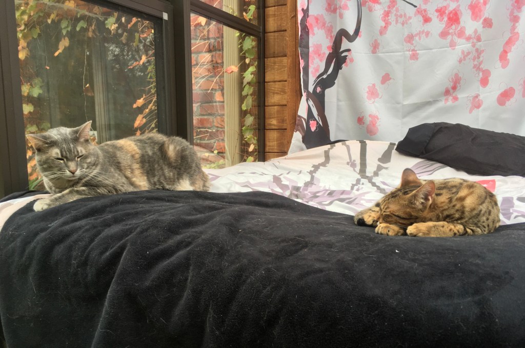 2020-10-21 Tricky Pickles and Tip Toes Teetering in the&nbsp;Middle