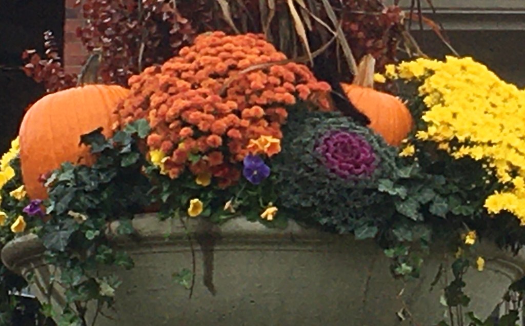 2020-10-24 Saturday Schmatterday