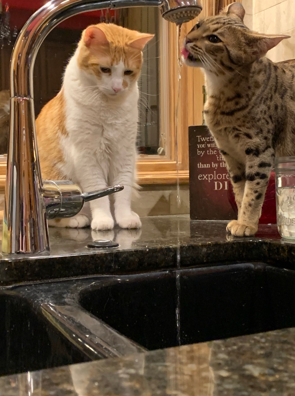 2020-11-22 Flip to B Square