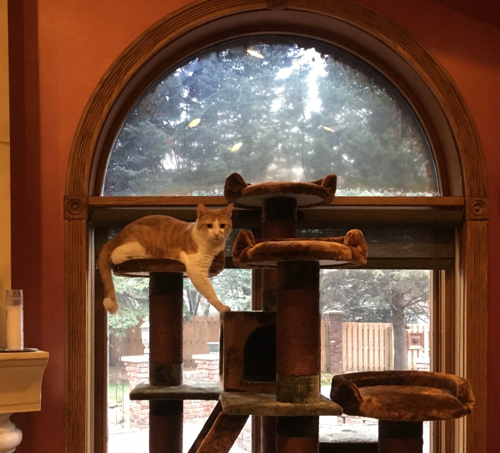 2020-11-23 From Procrastination to Motivation and&nbsp;Beyond