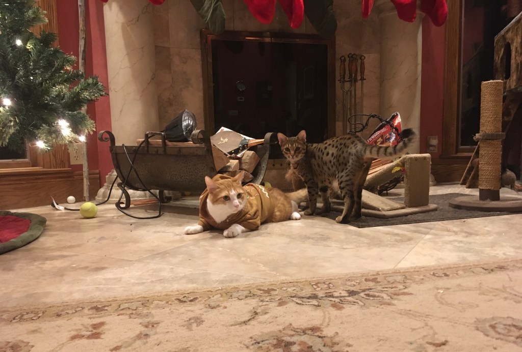 2020-12-15 Smile and&nbsp;Wave