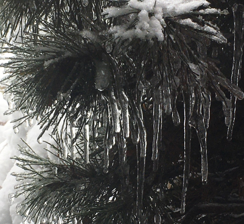 2020-12-13 “We Will Send a Car to Find You…