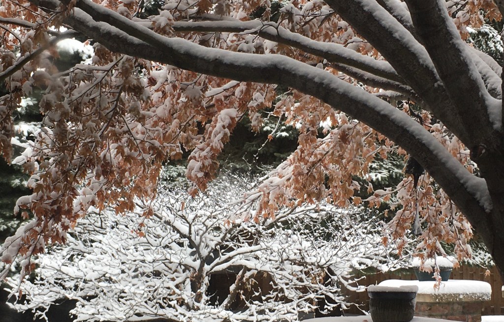 2020-12-14 What is Above and Below the&nbsp;Fold