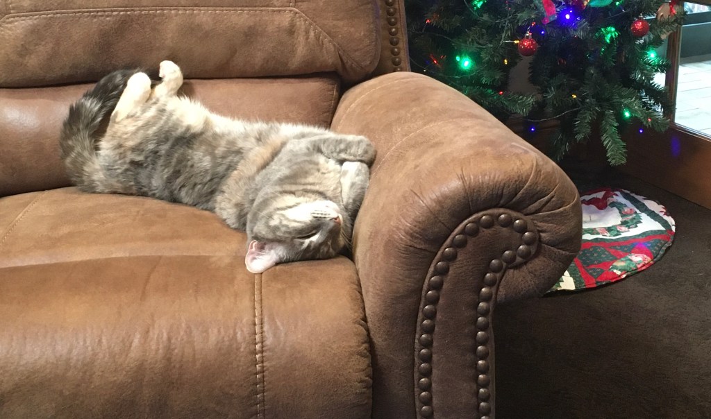 2020-12-12 Poetic Rejection