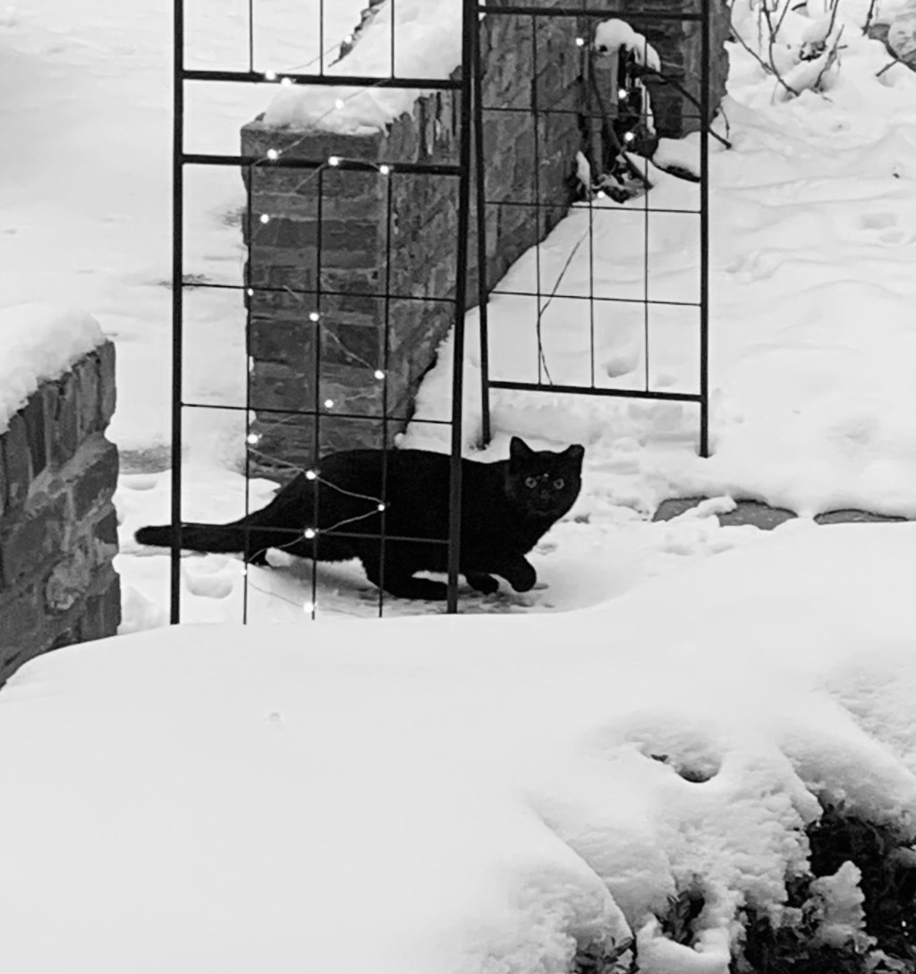 2020-12-18 Time Doesn’t Give a&nbsp;Reason