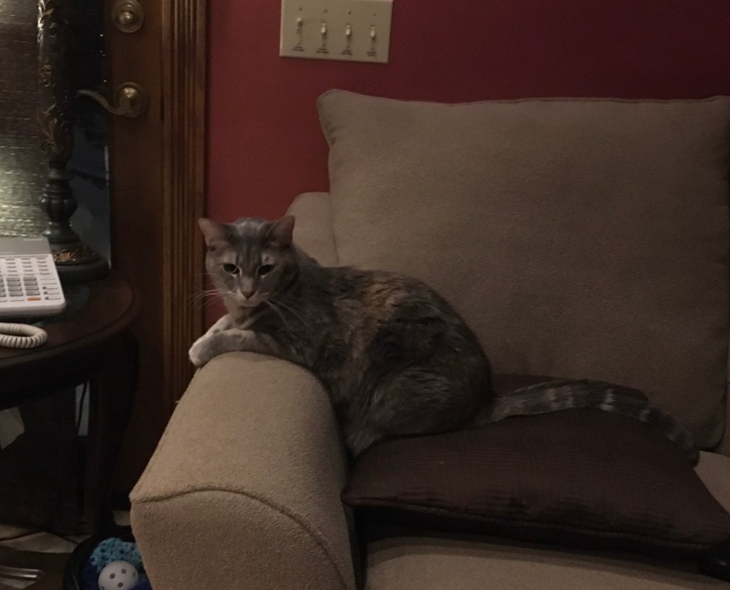 2020-12-30 Final MFA Day 2: Gathering All the Internets